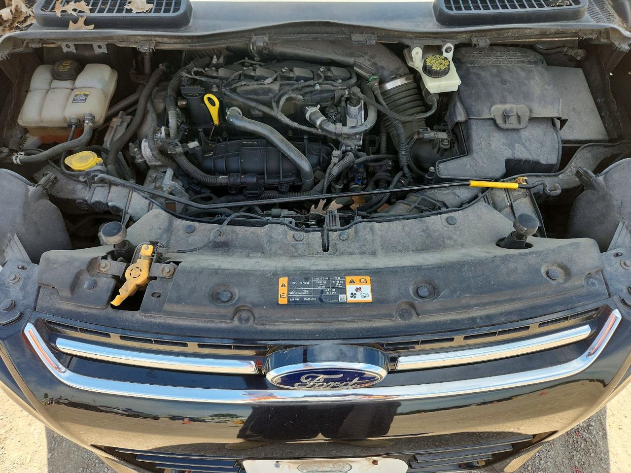 Ford Escape Sel