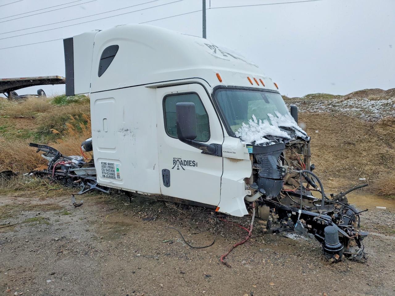 Salvage Freigliner Cascadia 126 Image