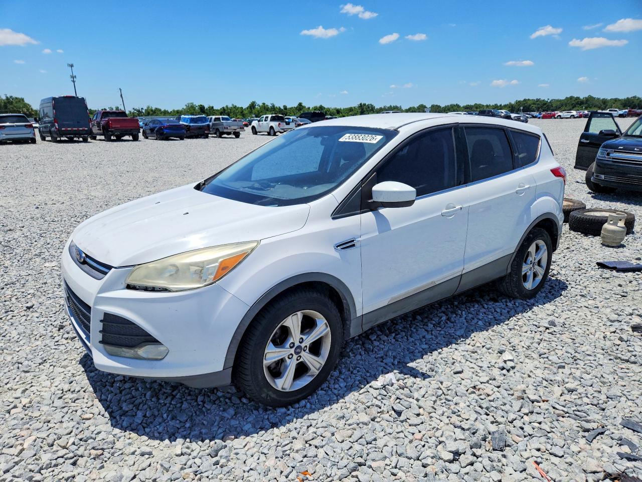 Salvage Ford Escape Image
