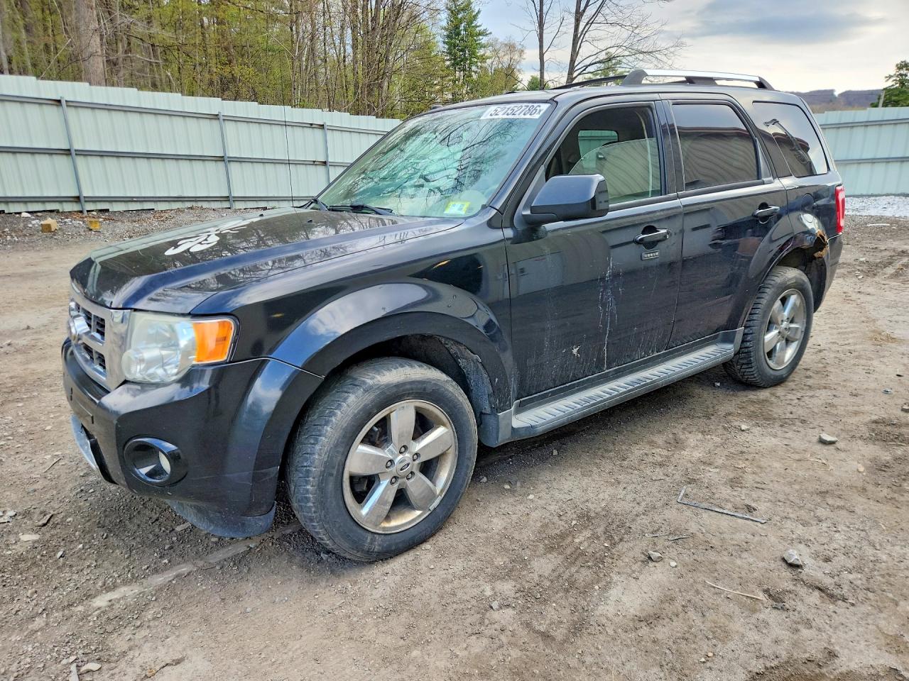 Salvage Ford Escape Image