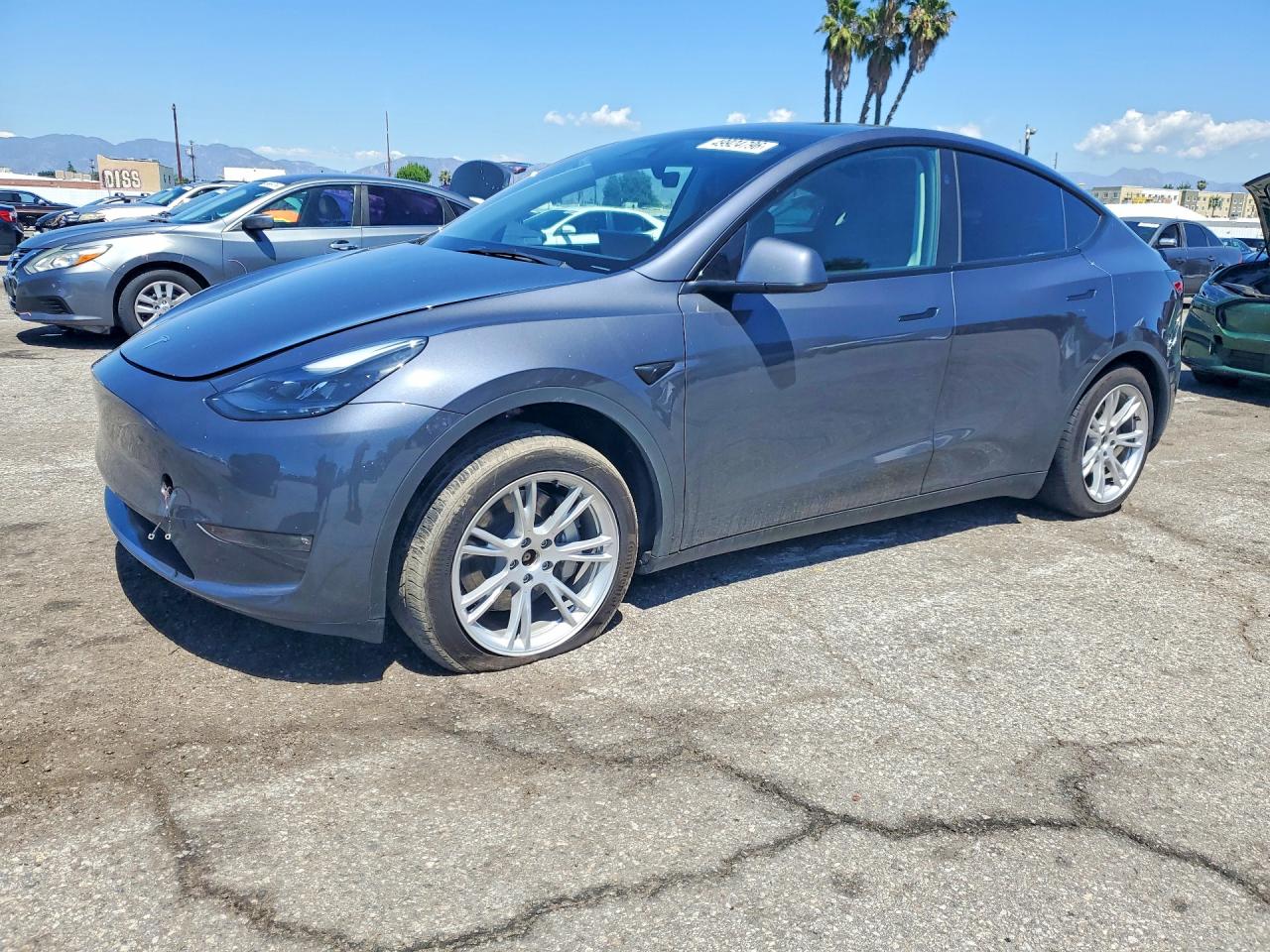 Salvage Tesla Model Y Image
