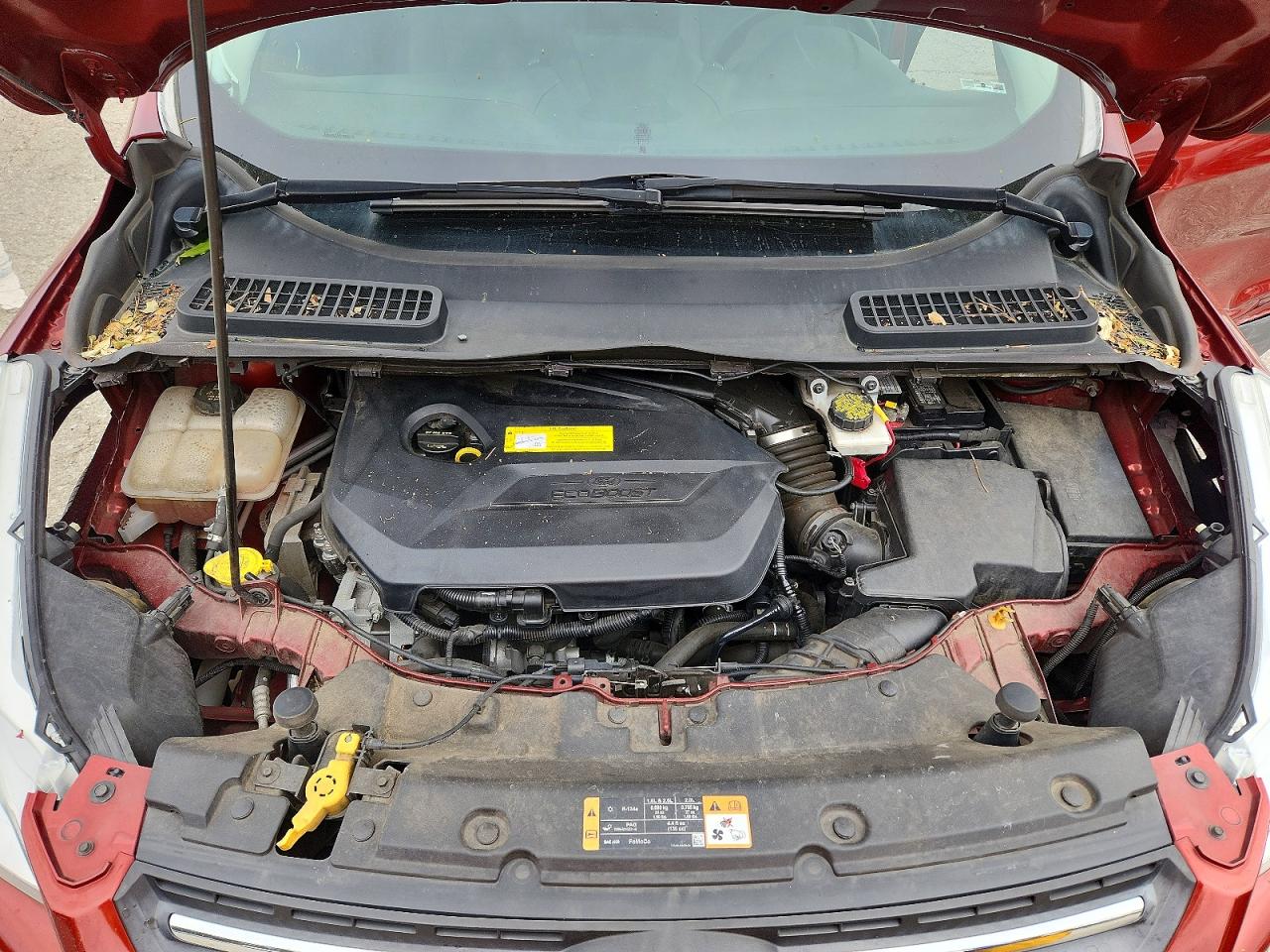 Ford Escape Se