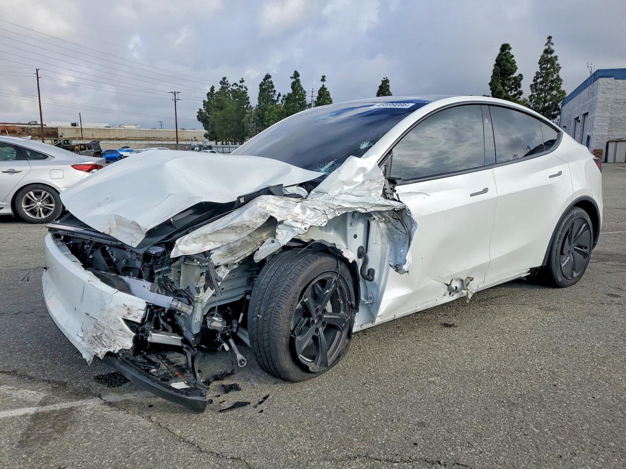 Salvage Tesla Model Y Image