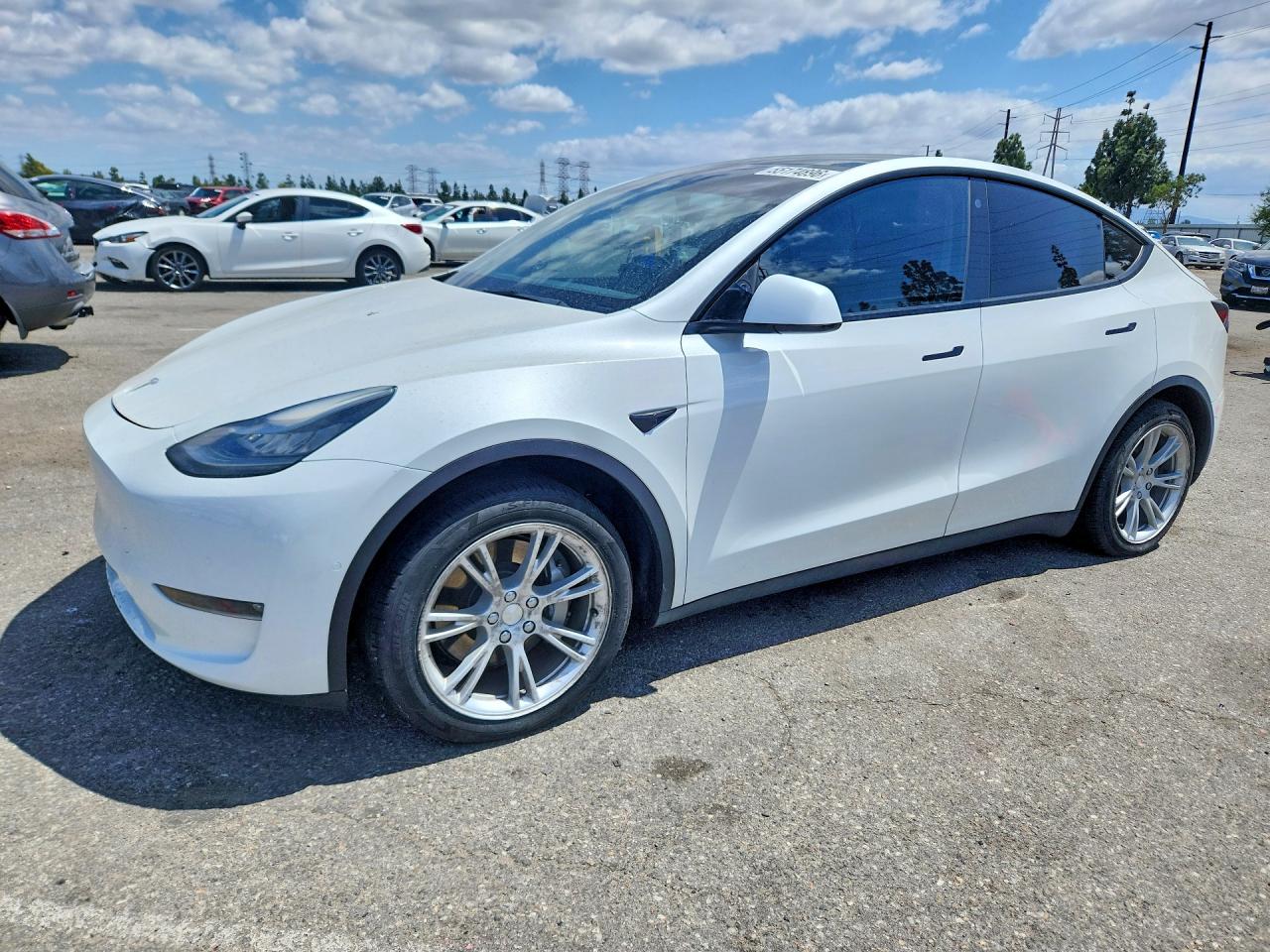 Salvage Tesla Model Y Image