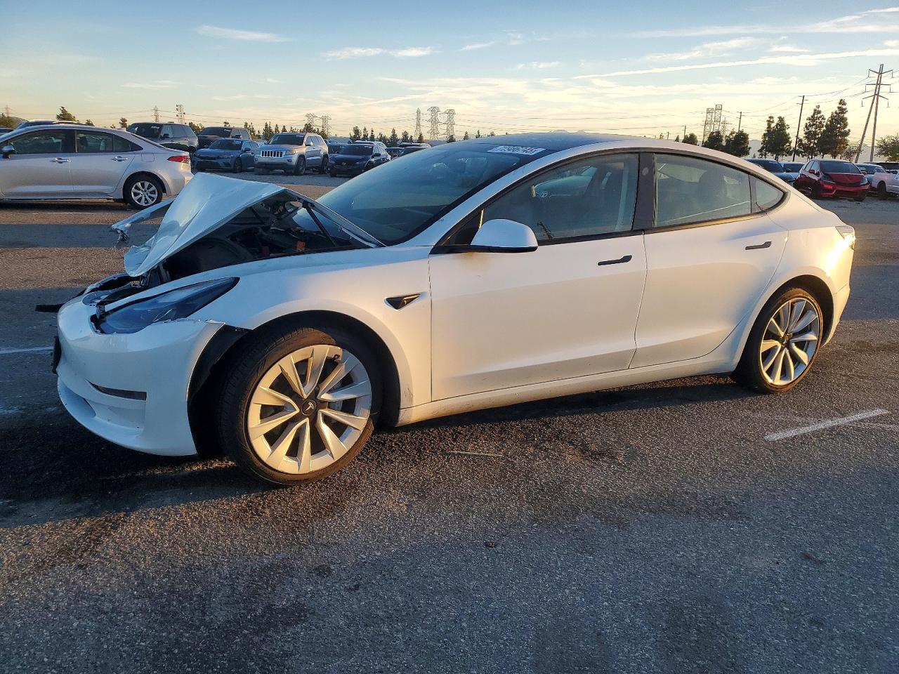 Salvage Tesla Model 3 Image