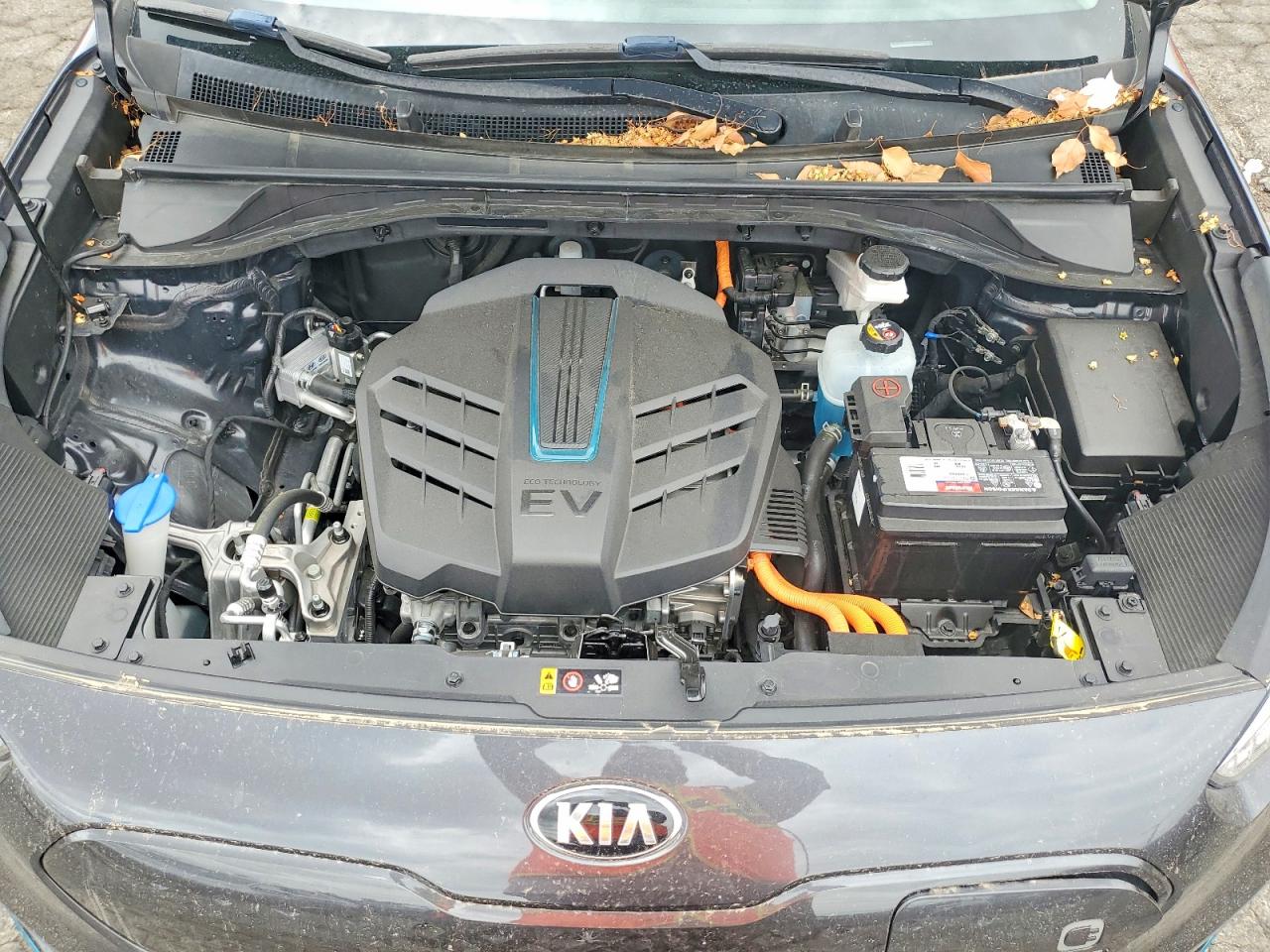 Kia Niro Ex