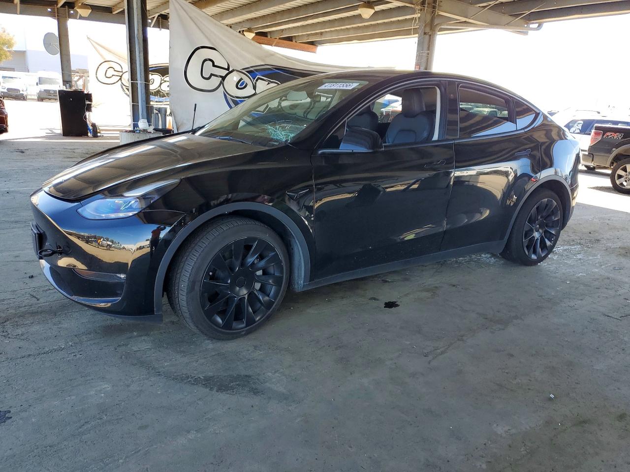 Salvage Tesla Model Y Image