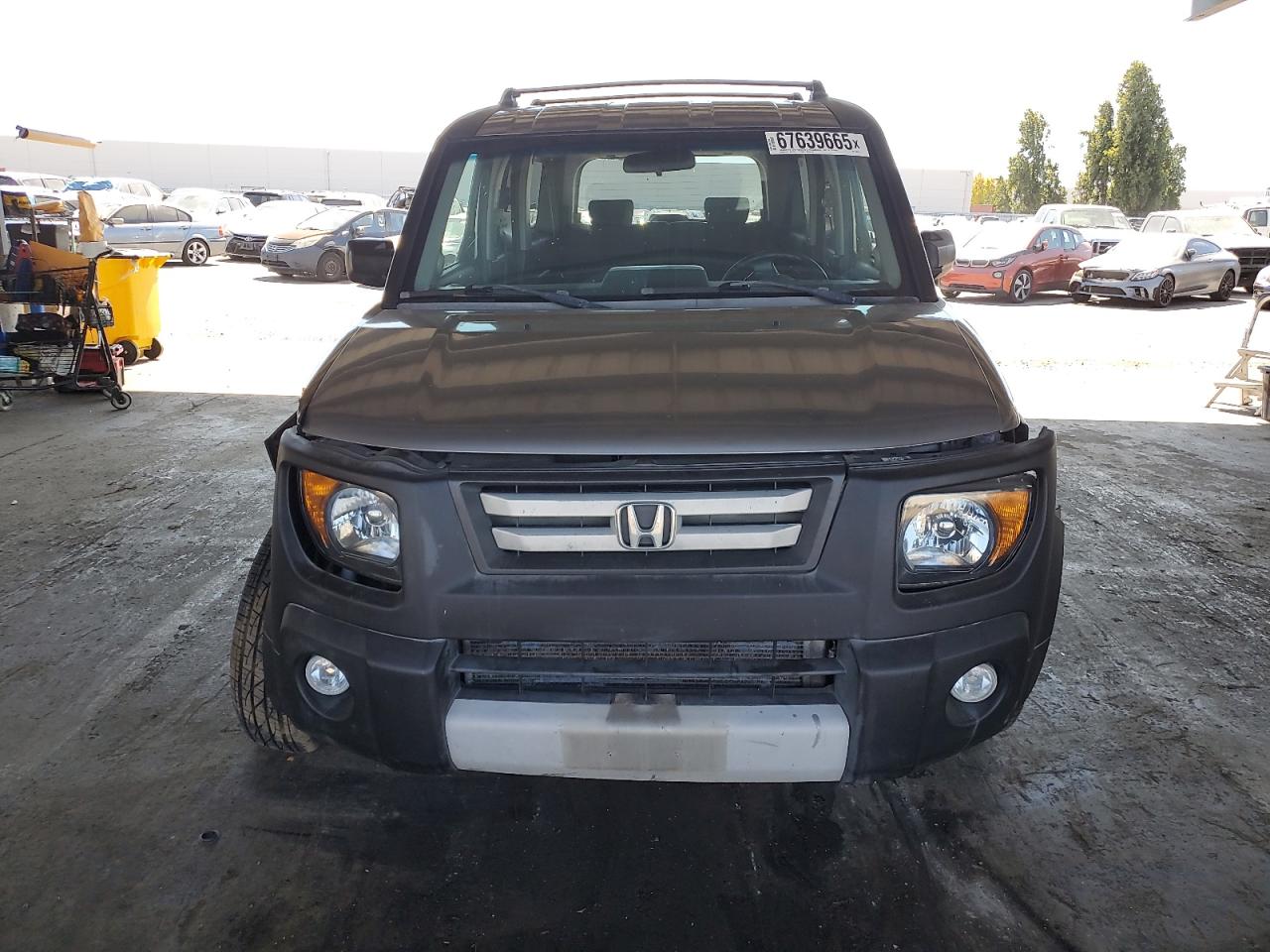 Honda Element Ex