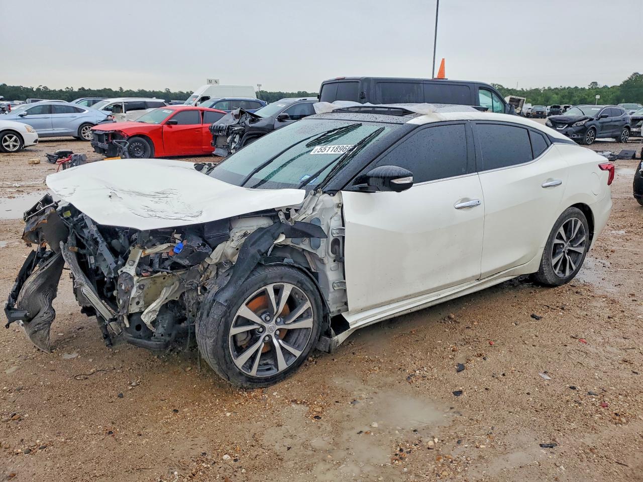 Salvage Nissan Maxima Image