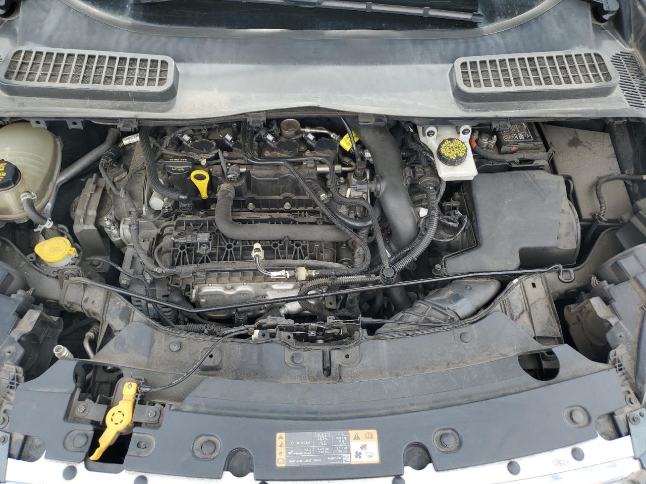 Ford Escape Se