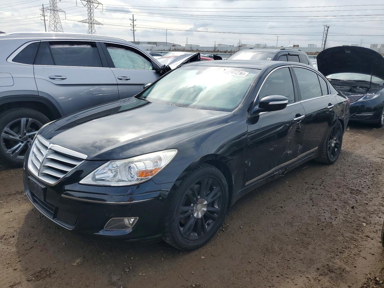 Salvage Hyundai Genesis Image