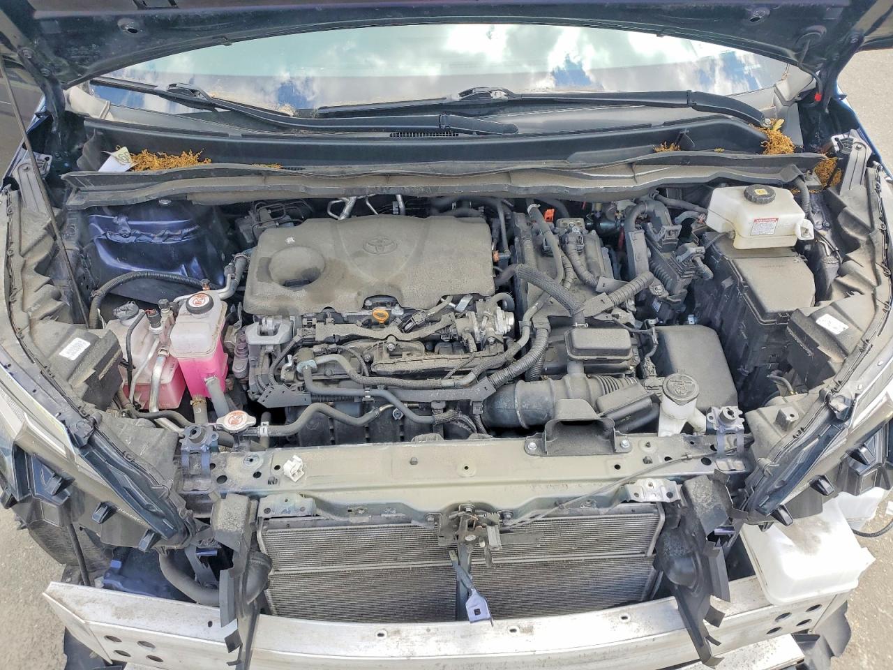 Toyota Sienna Le