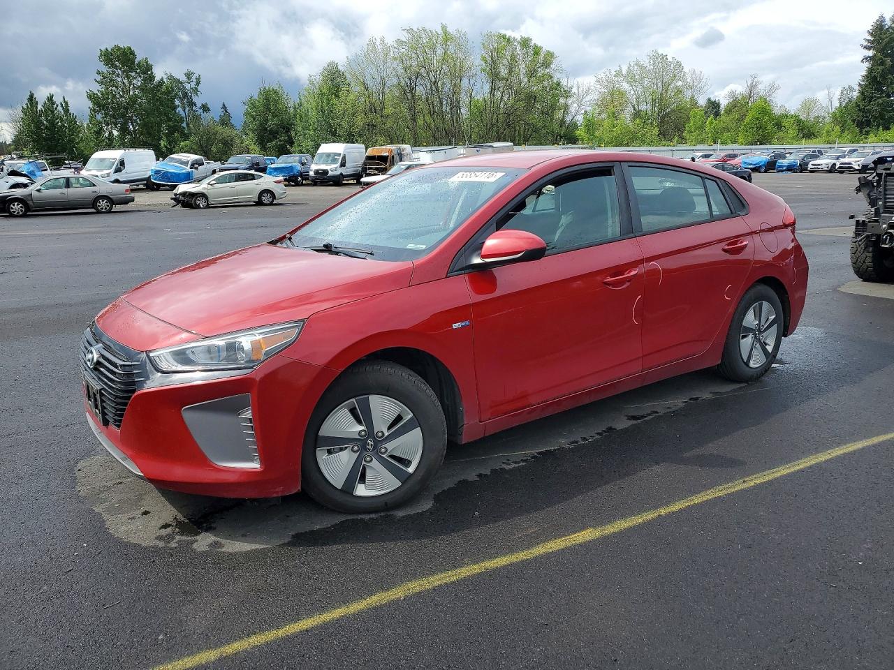 Salvage Hyundai Ioniq Image