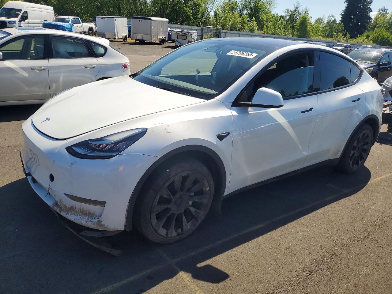 Salvage Tesla Model Y Image