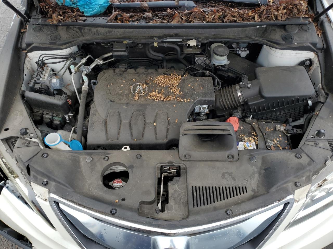Acura RDX