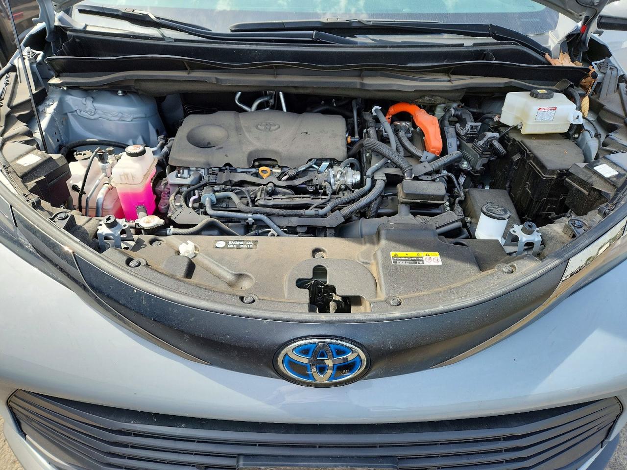 Toyota Sienna Woodland Edition