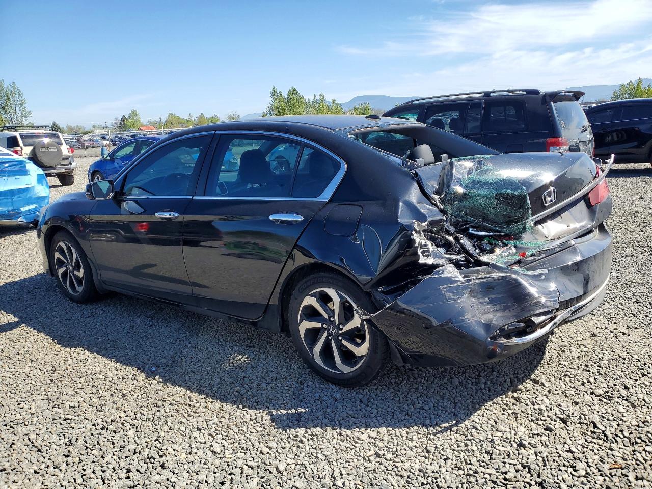 Honda Accord Exl