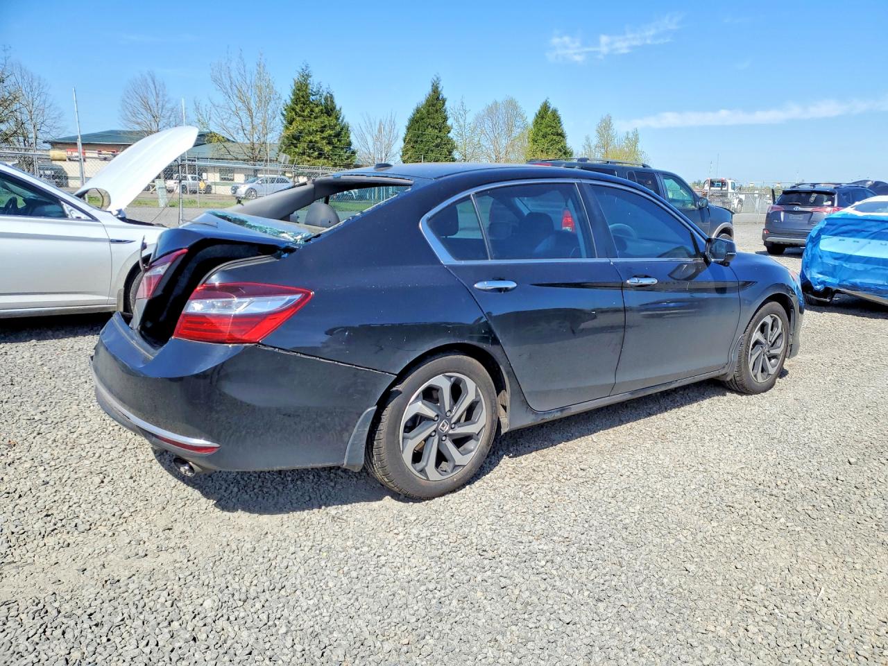 Honda Accord Exl