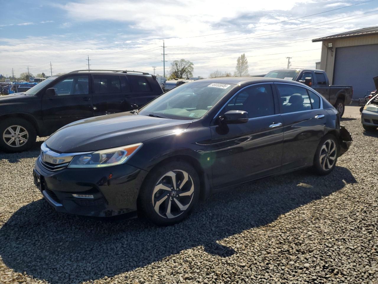 Salvage Honda Accord Image