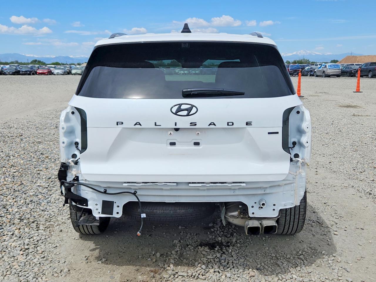 Hyundai PALISADE Calligraphy Night Edition