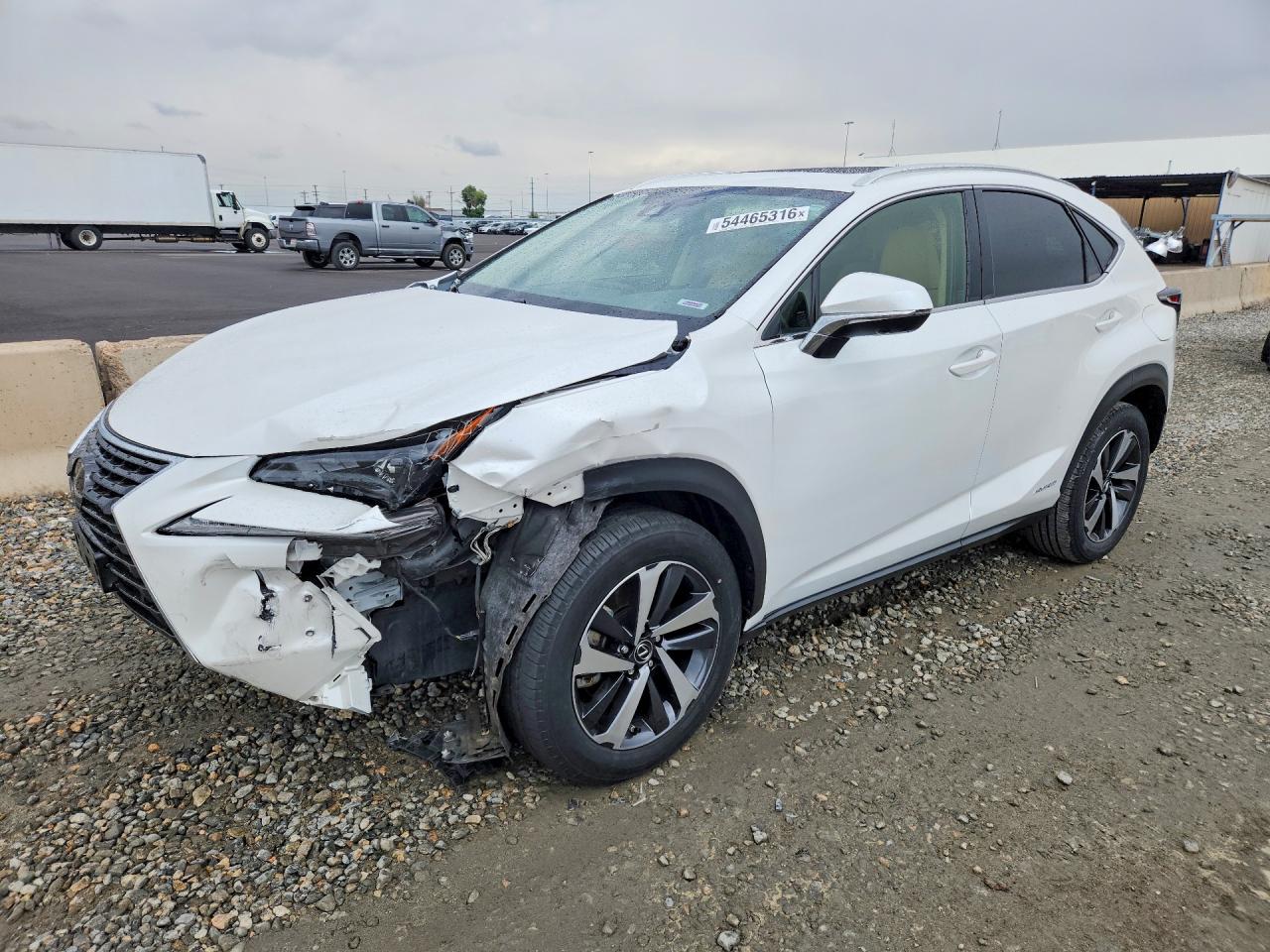 Salvage Lexus NX Image