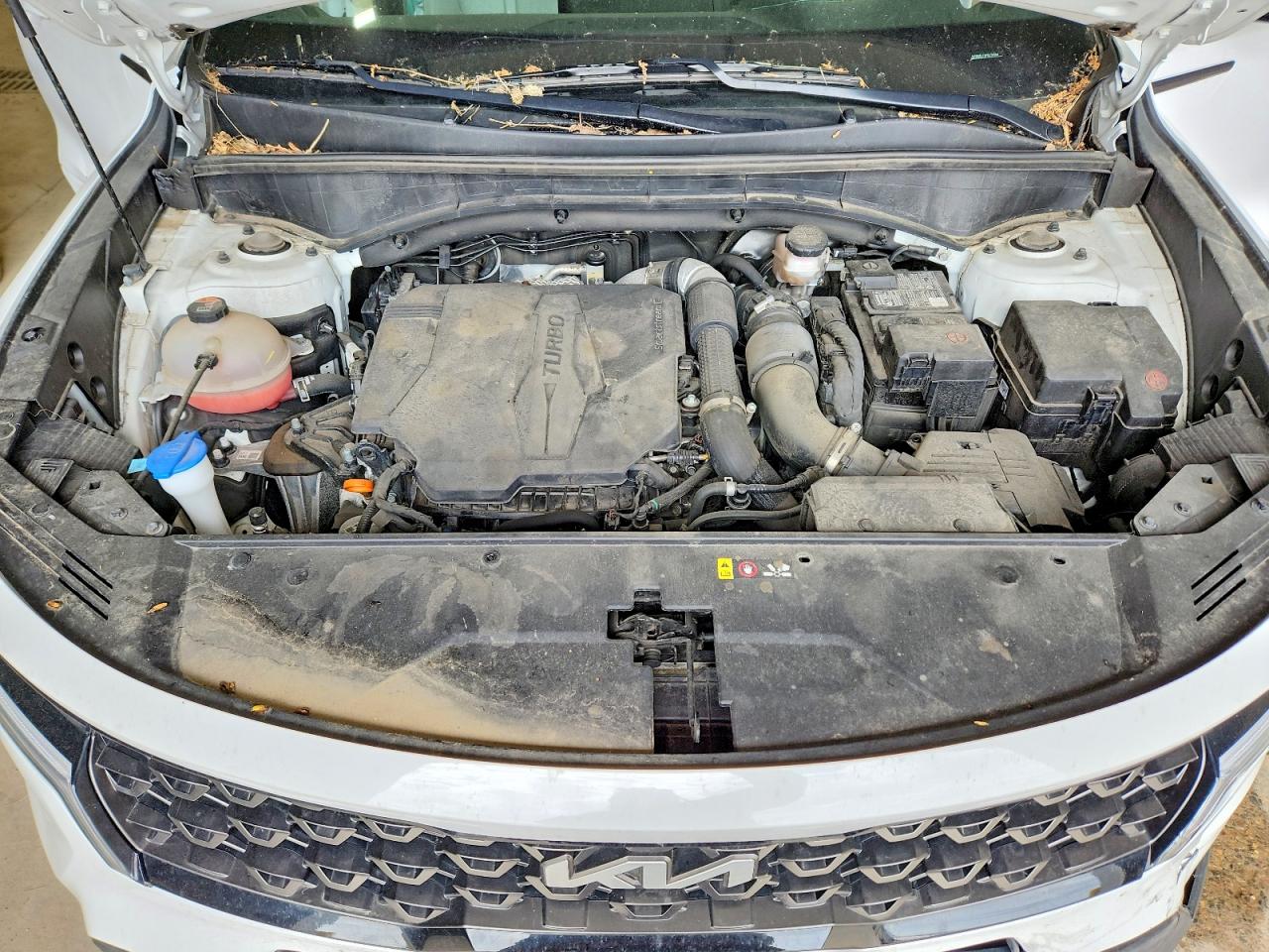 Kia Sorento X-line Ex