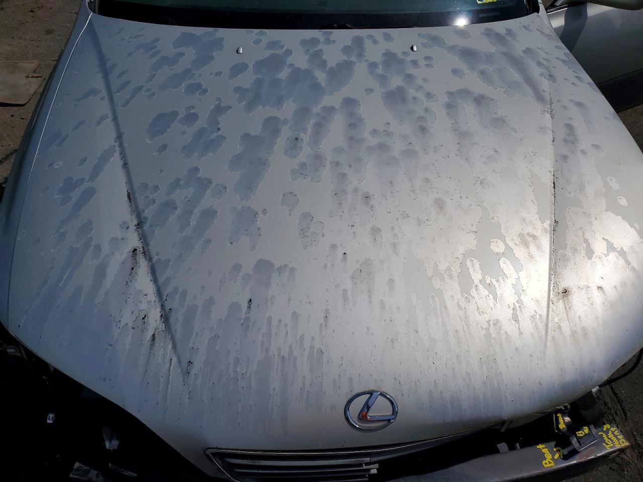 Lexus Es Base