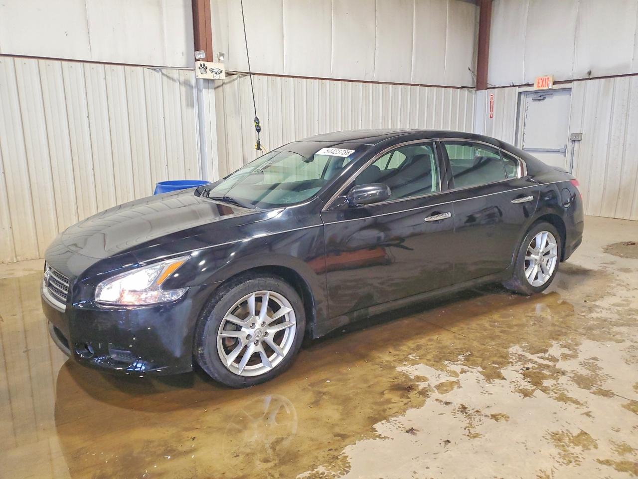 Salvage Nissan Maxima Image