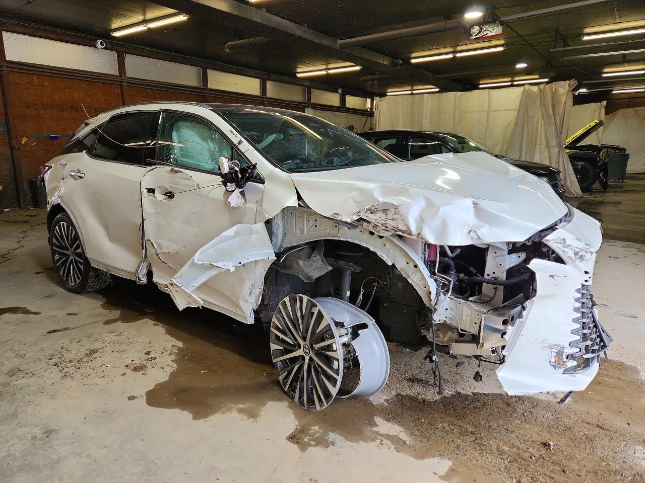 Lexus Other Premium+