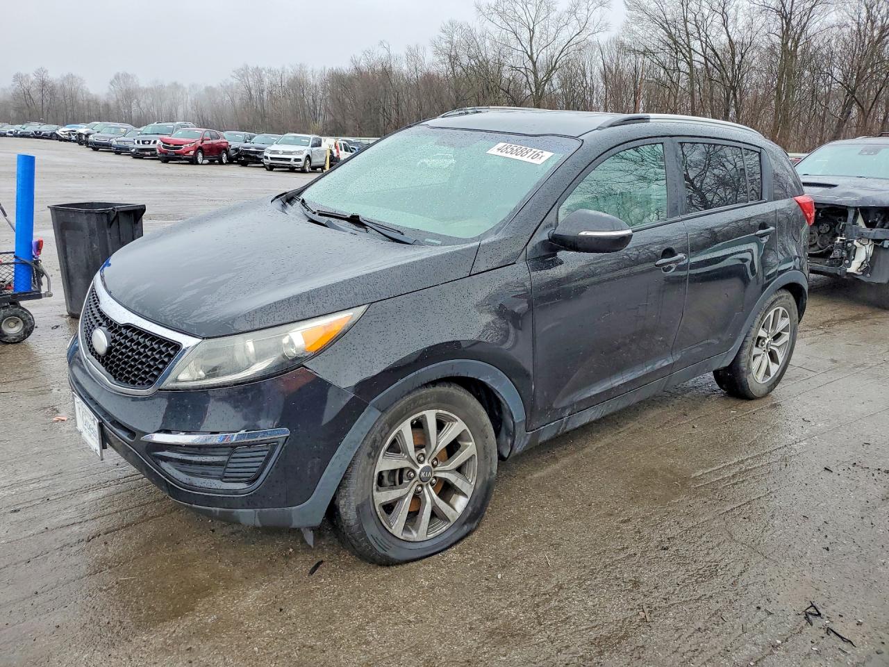 Salvage Kia Sportage Image