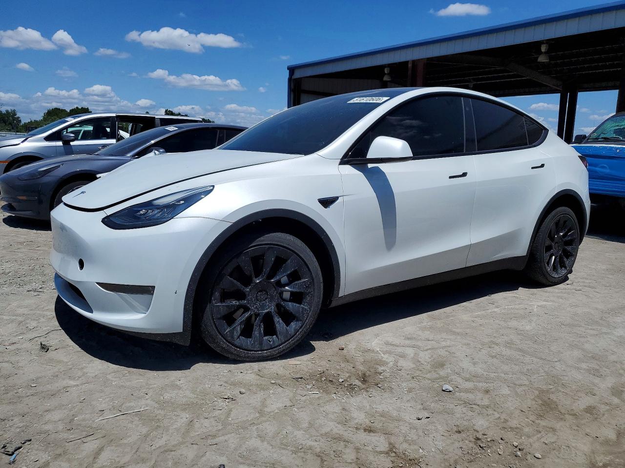 Salvage Tesla Model Y Image