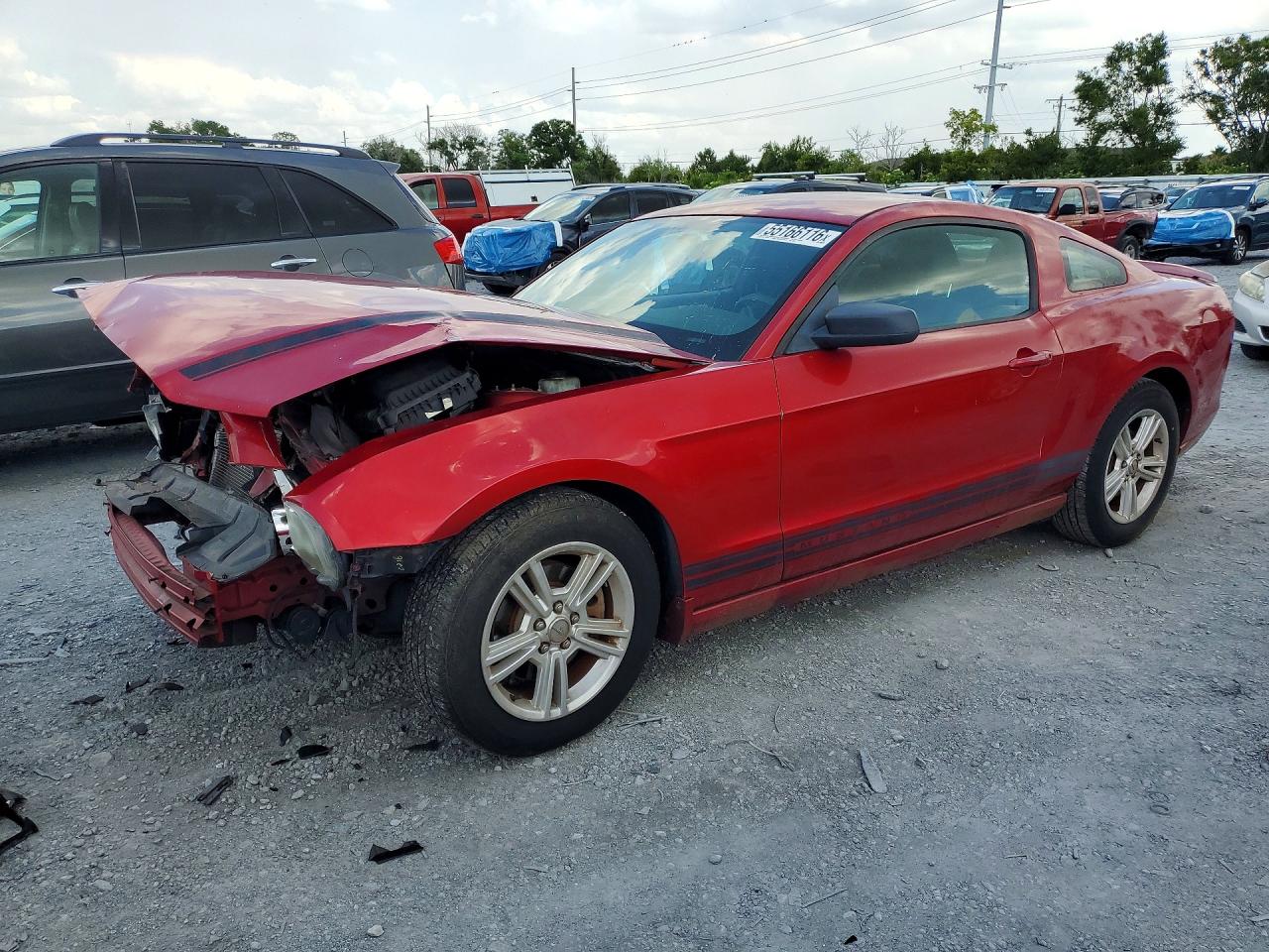 Salvage Ford Mustang Image