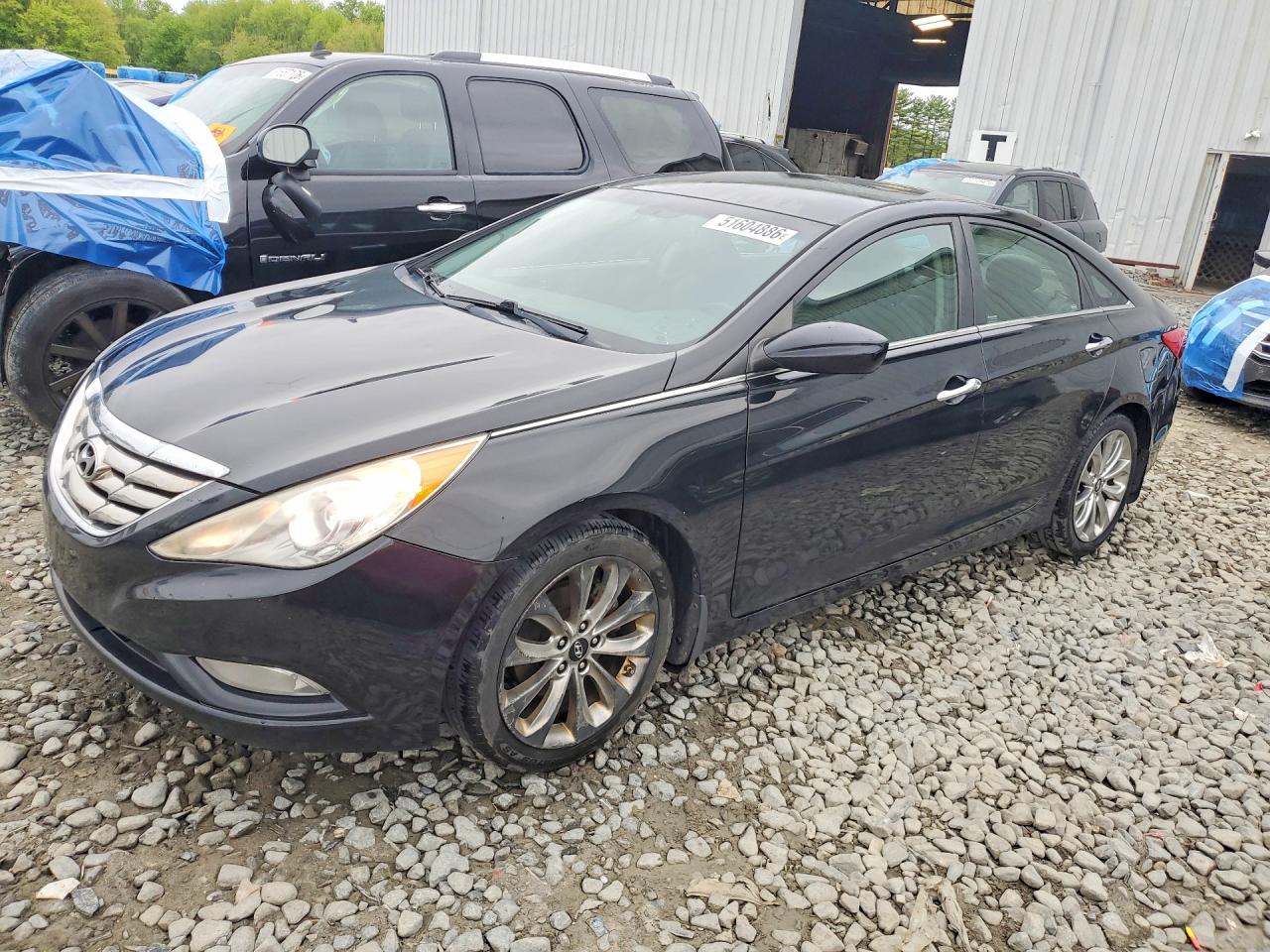 Salvage Hyundai SONATA Image