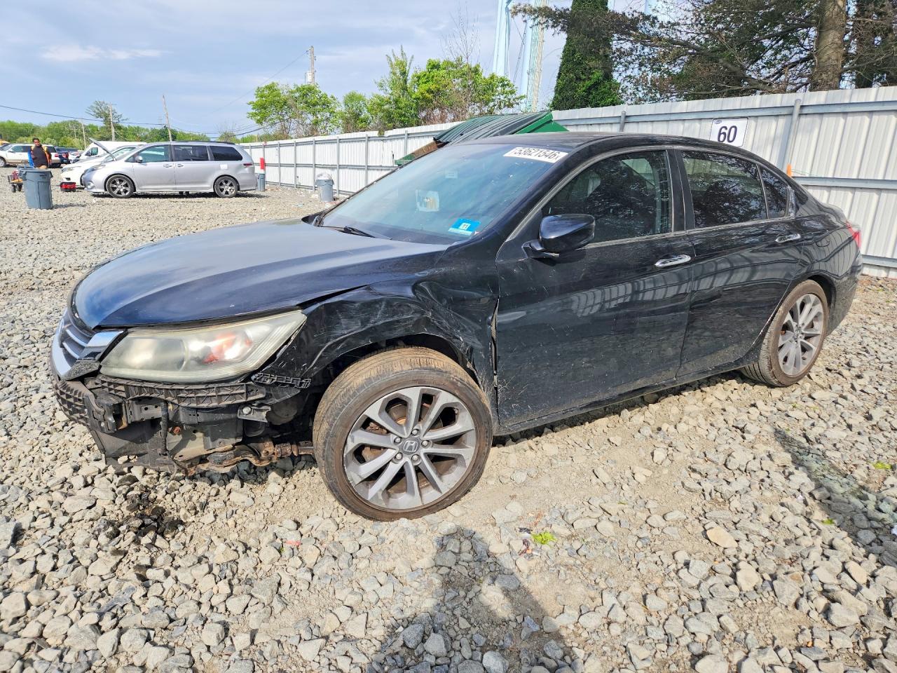 Salvage Honda Accord Image