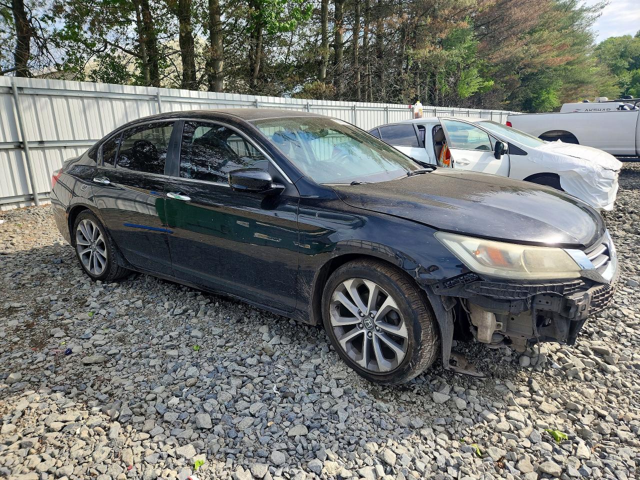 Honda Accord Sport