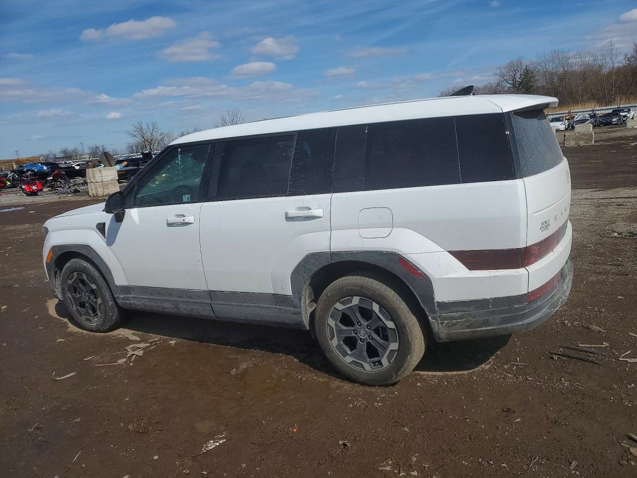 Hyundai SANTA FE Se