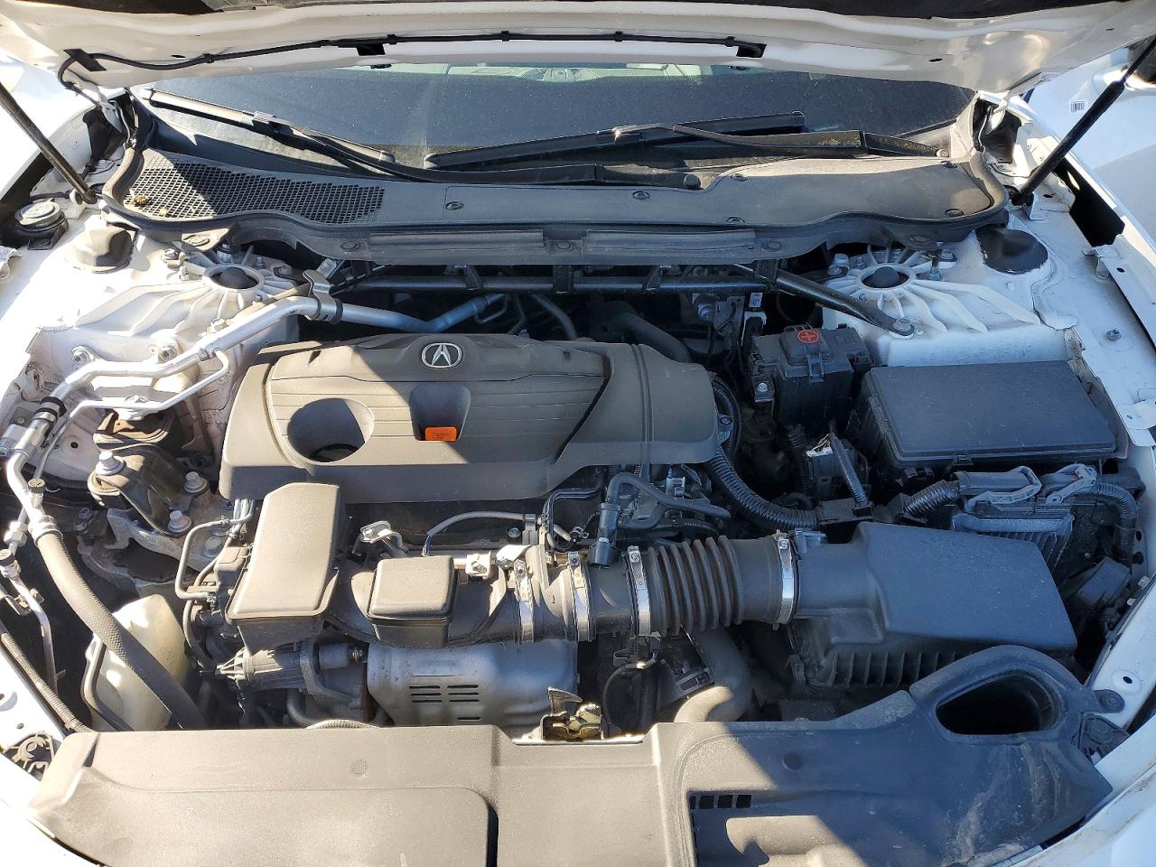 Acura TLX Advance