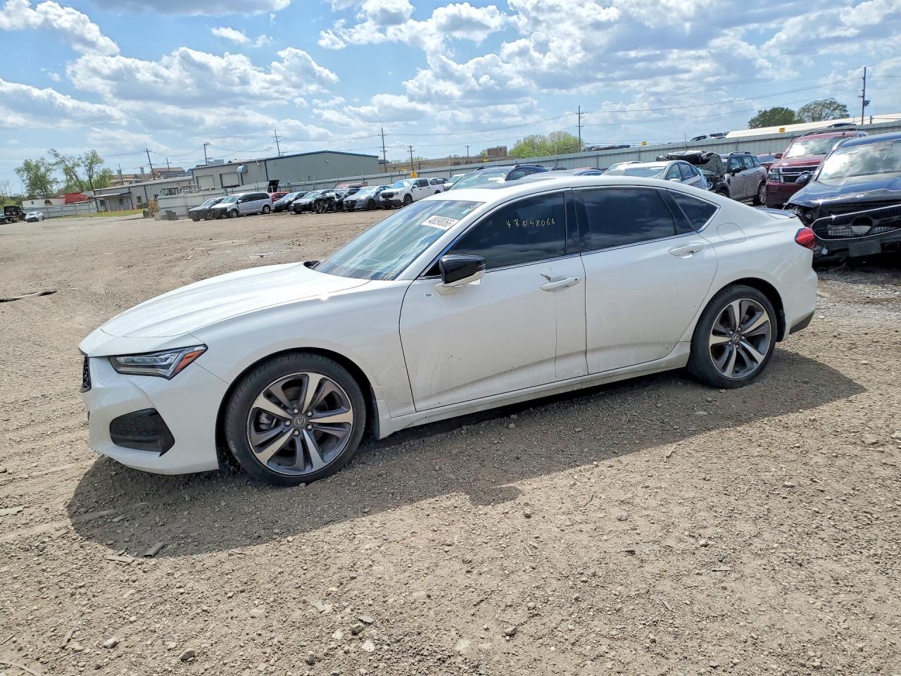 Salvage Acura TLX Image