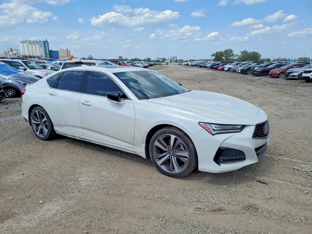 Acura TLX Advance