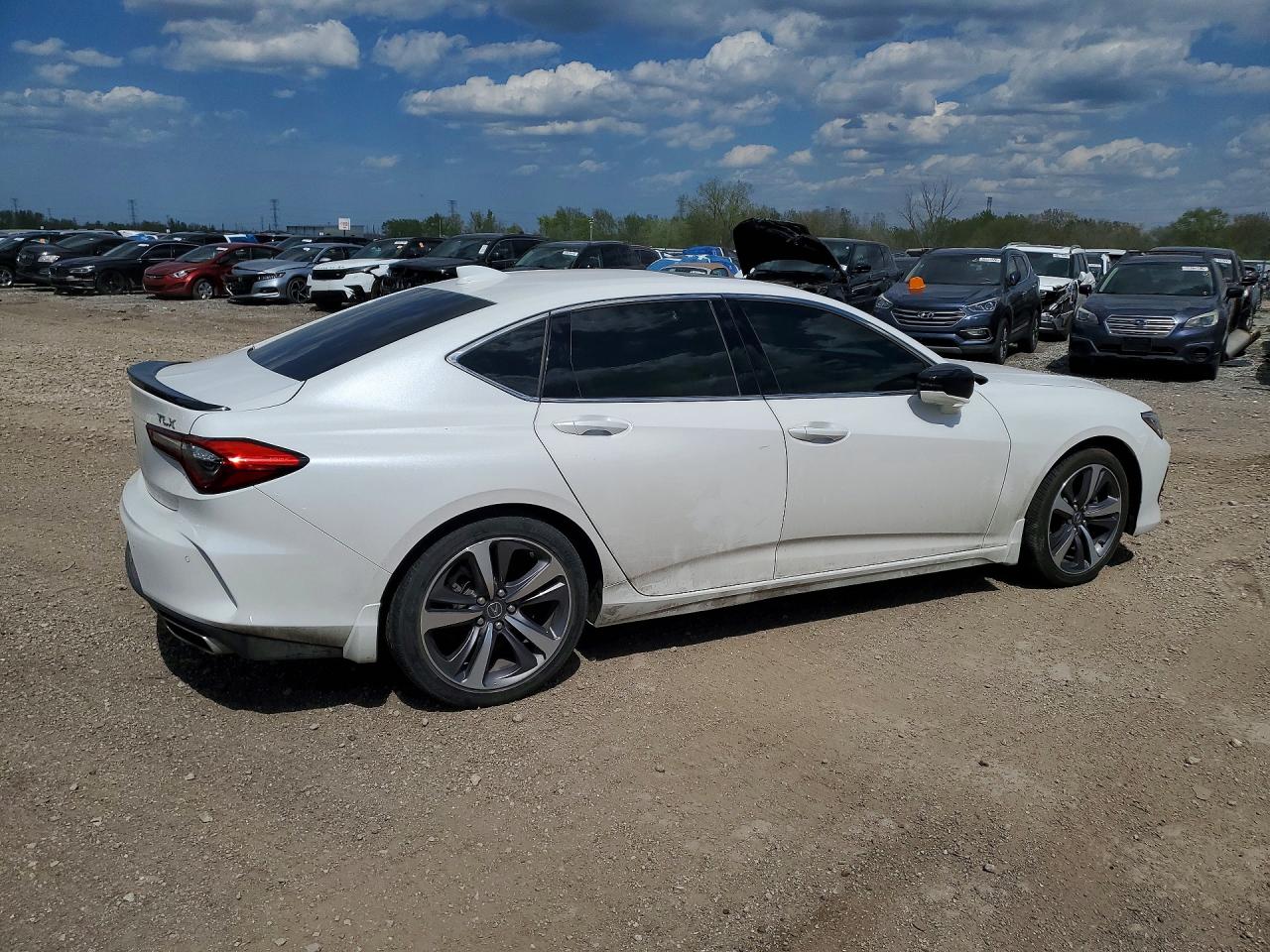 Acura TLX Advance