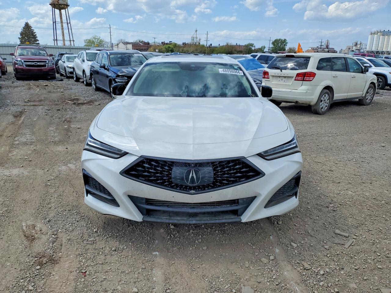 Acura TLX Advance