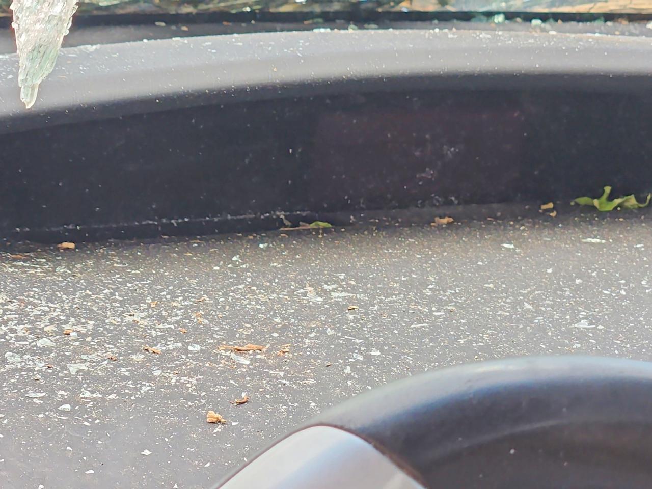 Toyota Prius Three