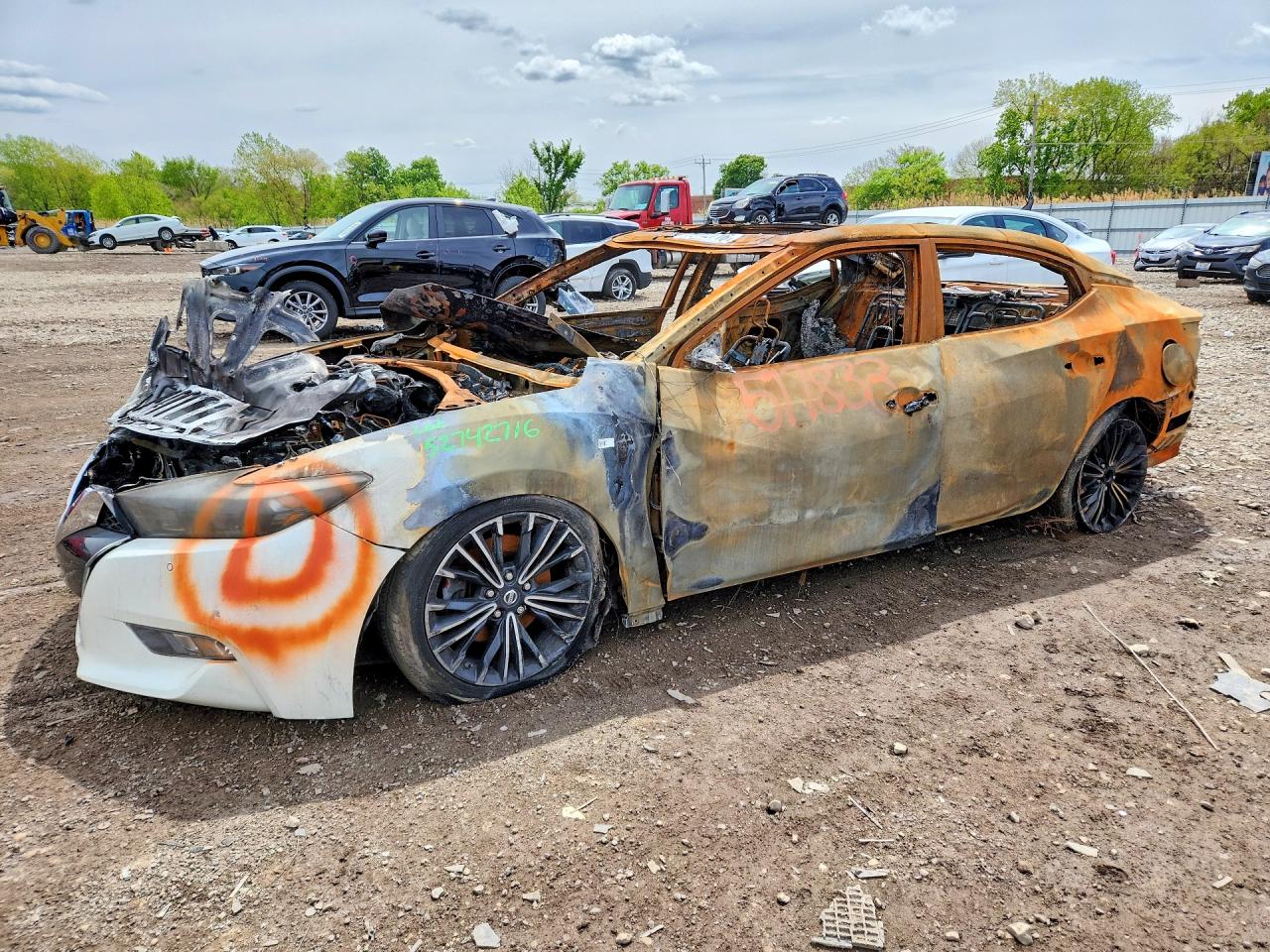 Salvage Nissan Maxima Image