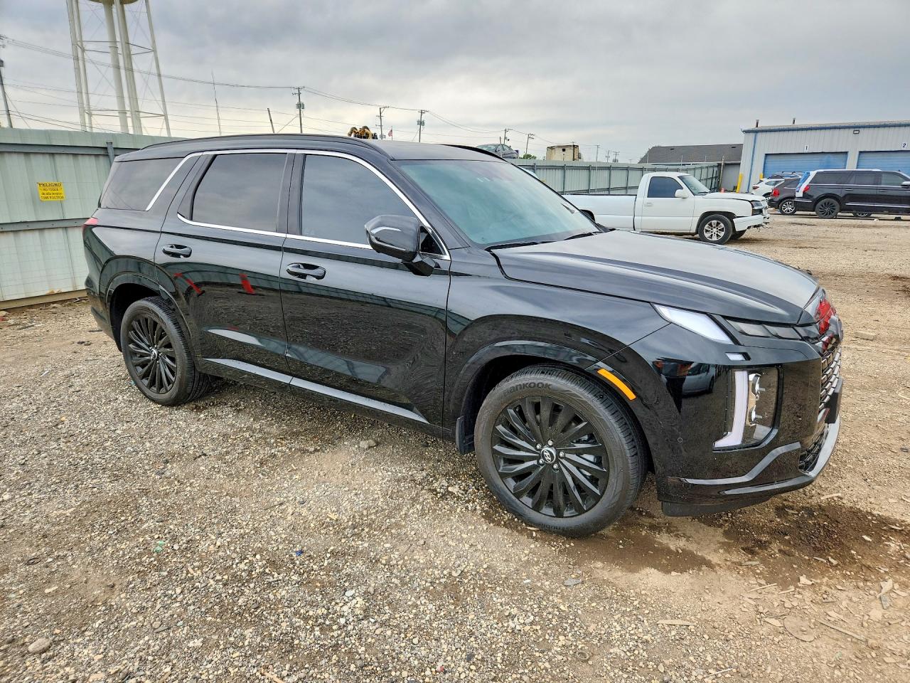 Hyundai PALISADE Calligraphy Night Edition