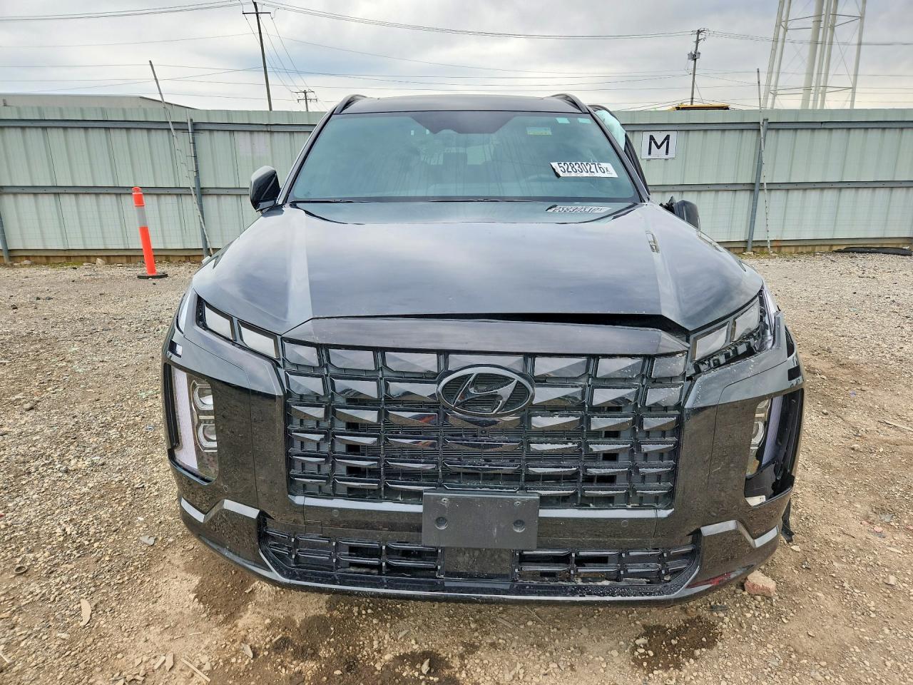 Hyundai PALISADE Calligraphy Night Edition