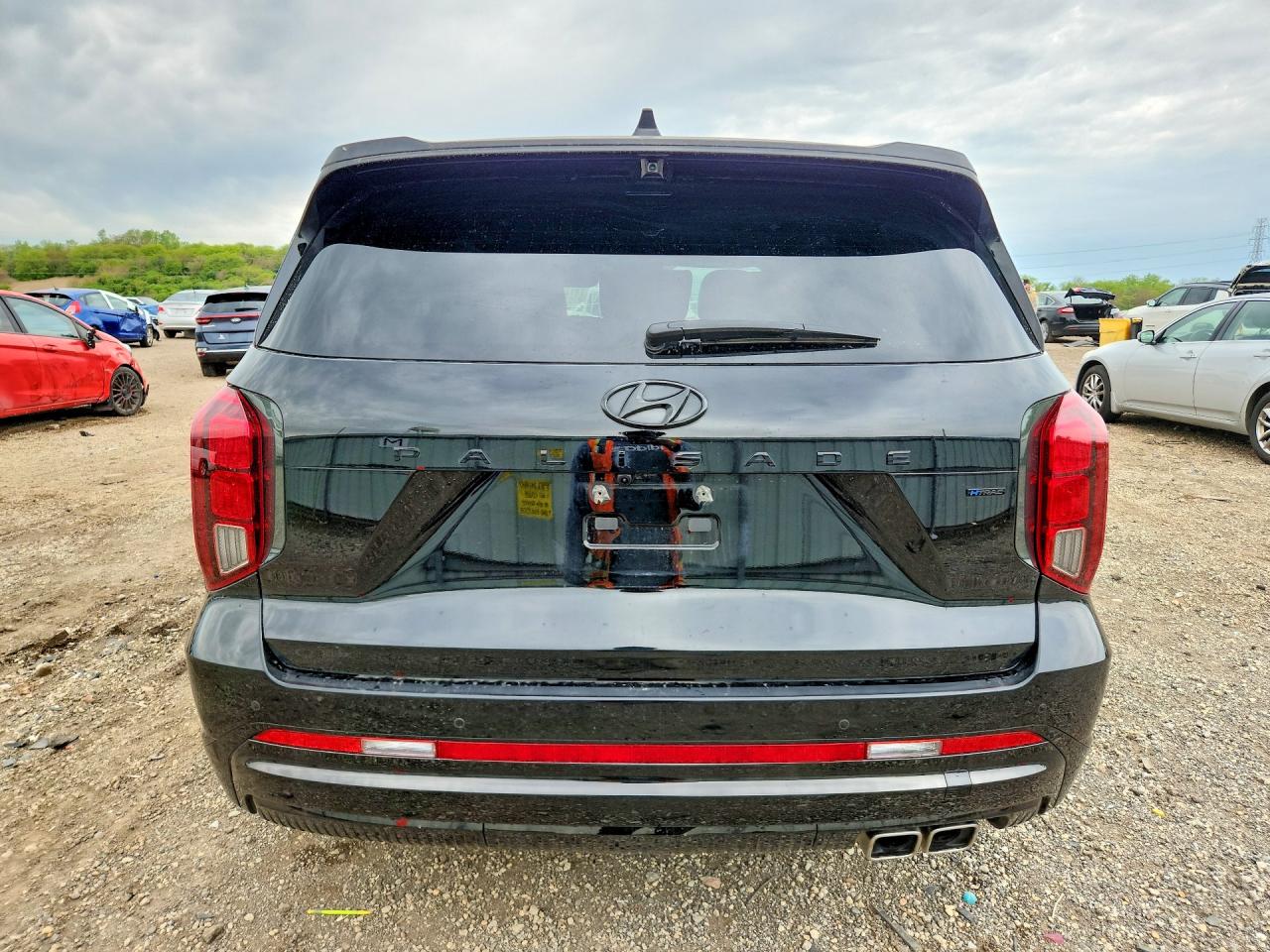 Hyundai PALISADE Calligraphy Night Edition