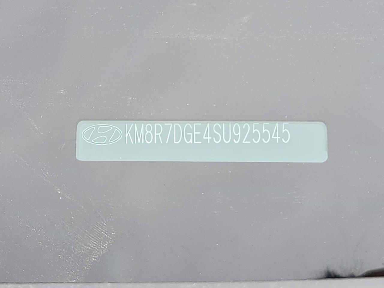 Hyundai PALISADE Calligraphy Night Edition