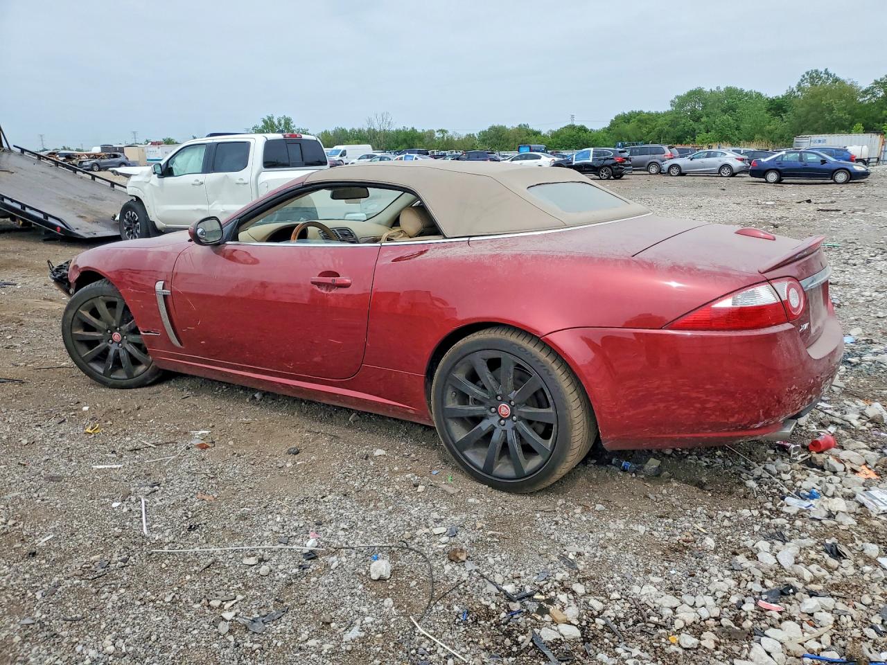 Jaguar XK