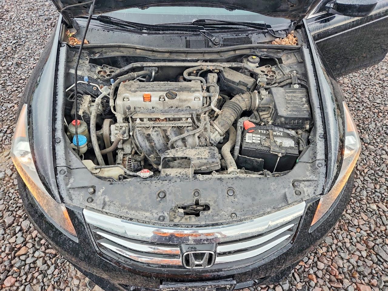 Honda Accord Exl