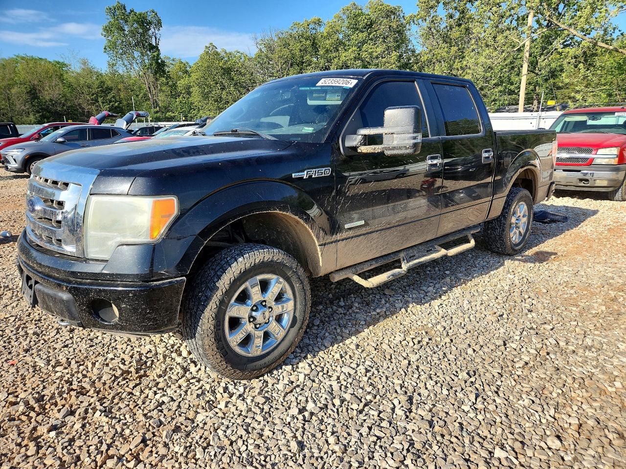 Salvage Ford F-150 Image